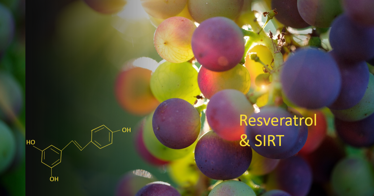 Resveratrol & SIRT1